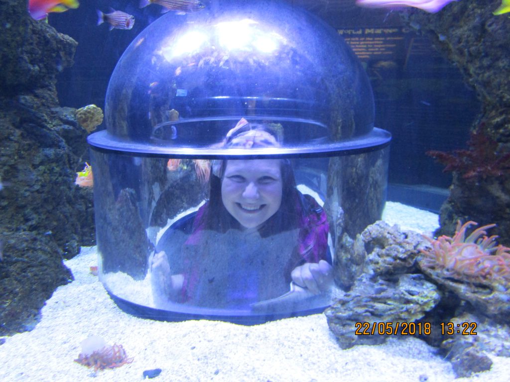 Skegness Aquarium
